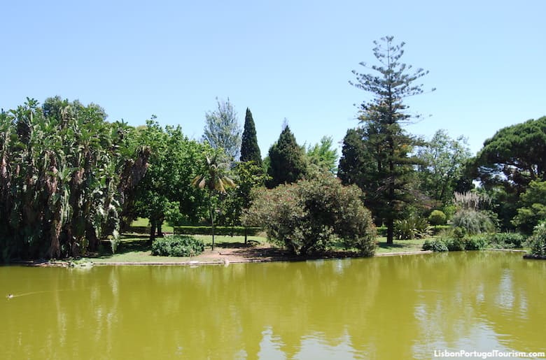 Lake by the greenhouse in Edward VII Park, Lisbon